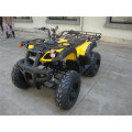 Factory Lowest Price Full Size ATV 250cc (JY-200-1A)